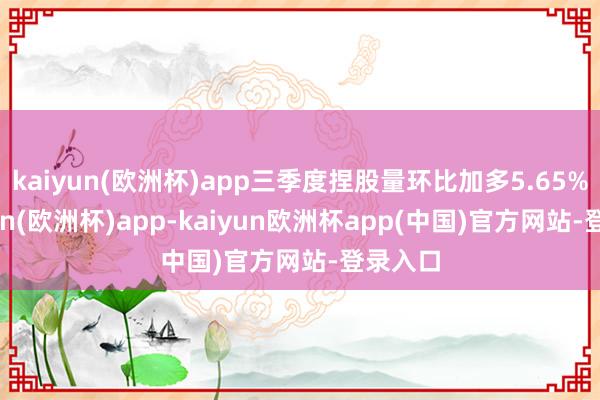 kaiyun(欧洲杯)app三季度捏股量环比加多5.65%-kaiyun(欧洲杯)app-kaiyun欧洲杯app(中国)官方网站-登录入口