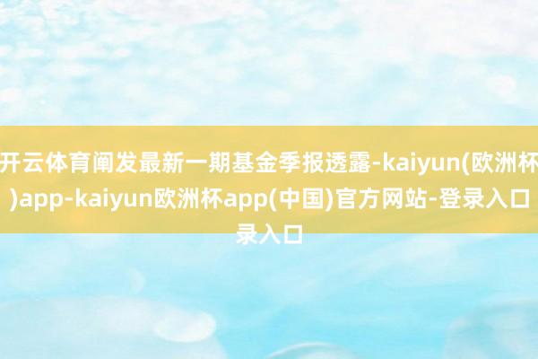 开云体育阐发最新一期基金季报透露-kaiyun(欧洲杯)app-kaiyun欧洲杯app(中国)官方网站-登录入口