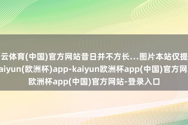 开云体育(中国)官方网站昔日并不方长…图片本站仅提供存储做事-kaiyun(欧洲杯)app-kaiyun欧洲杯app(中国)官方网站-登录入口