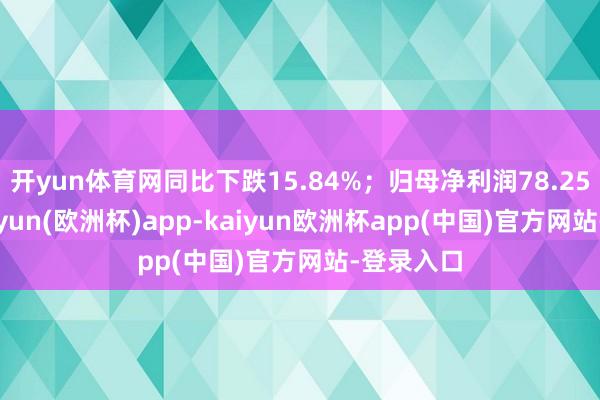 开yun体育网同比下跌15.84%；归母净利润78.25亿元-kaiyun(欧洲杯)app-kaiyun欧洲杯app(中国)官方网站-登录入口