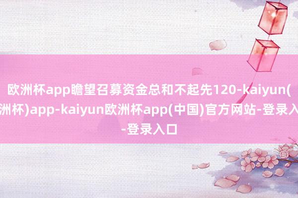 欧洲杯app瞻望召募资金总和不起先120-kaiyun(欧洲杯)app-kaiyun欧洲杯app(中国)官方网站-登录入口