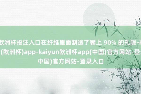 欧洲杯投注入口在纤维里面制造了朝上 90% 的孔隙-kaiyun(欧洲杯)app-kaiyun欧洲杯app(中国)官方网站-登录入口