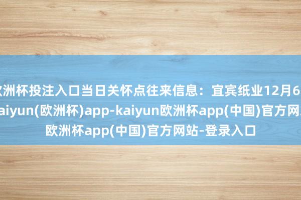 欧洲杯投注入口当日关怀点往来信息：宜宾纸业12月6日涨停收盘-kaiyun(欧洲杯)app-kaiyun欧洲杯app(中国)官方网站-登录入口