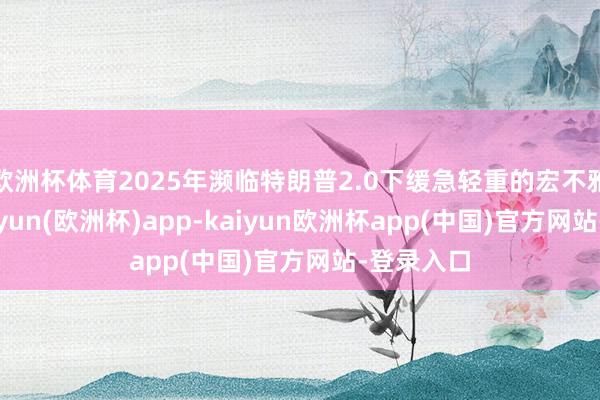 欧洲杯体育2025年濒临特朗普2.0下缓急轻重的宏不雅环境-kaiyun(欧洲杯)app-kaiyun欧洲杯app(中国)官方网站-登录入口