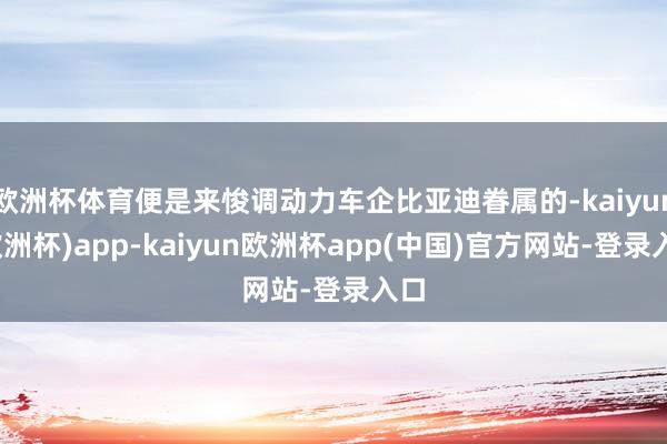 欧洲杯体育便是来悛调动力车企比亚迪眷属的-kaiyun(欧洲杯)app-kaiyun欧洲杯app(中国)官方网站-登录入口